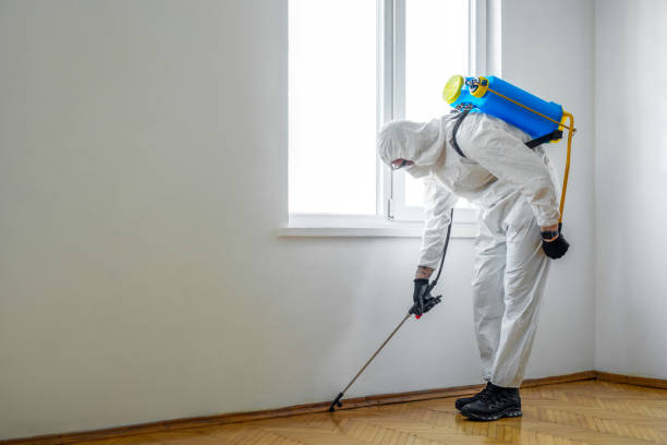 Best Pest Prevention Services  in Collegedale, TN